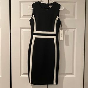 Calvin Klein Business Formal Dress